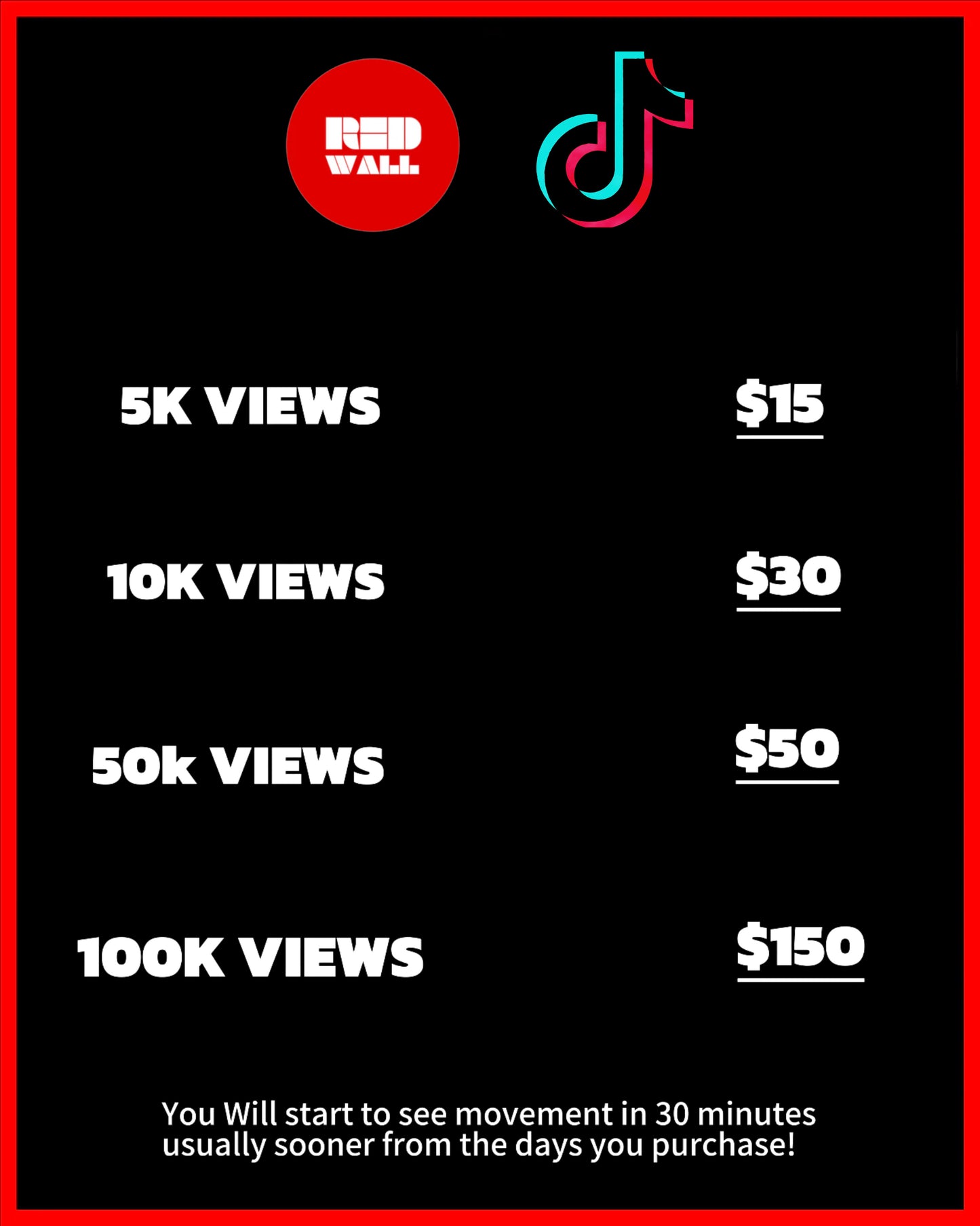 TIKTOK VIEWS